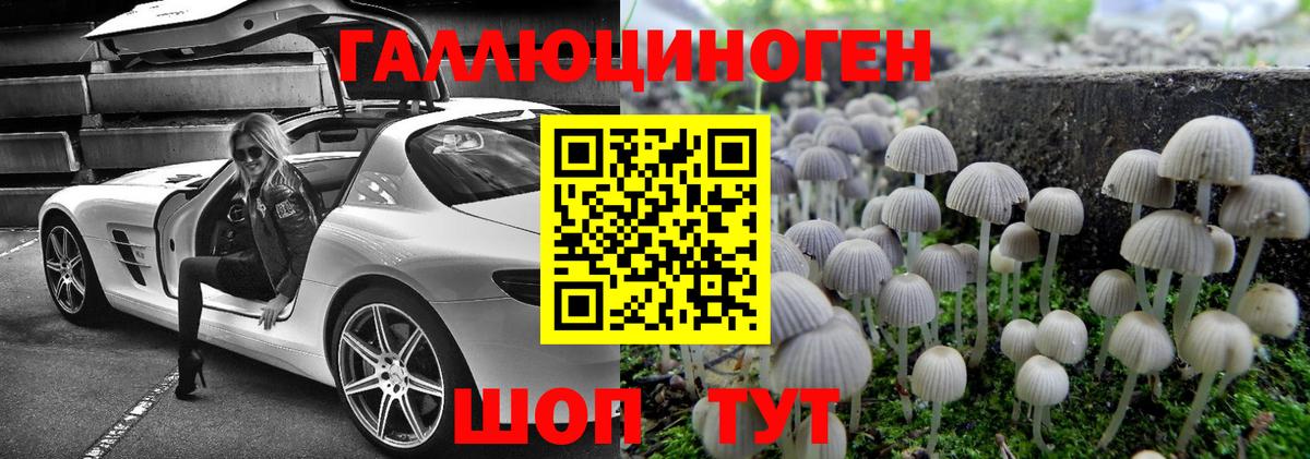 как найти закладки  Вход с VPN  Светлоград  Псилоцибиновые грибы Magic Shrooms 